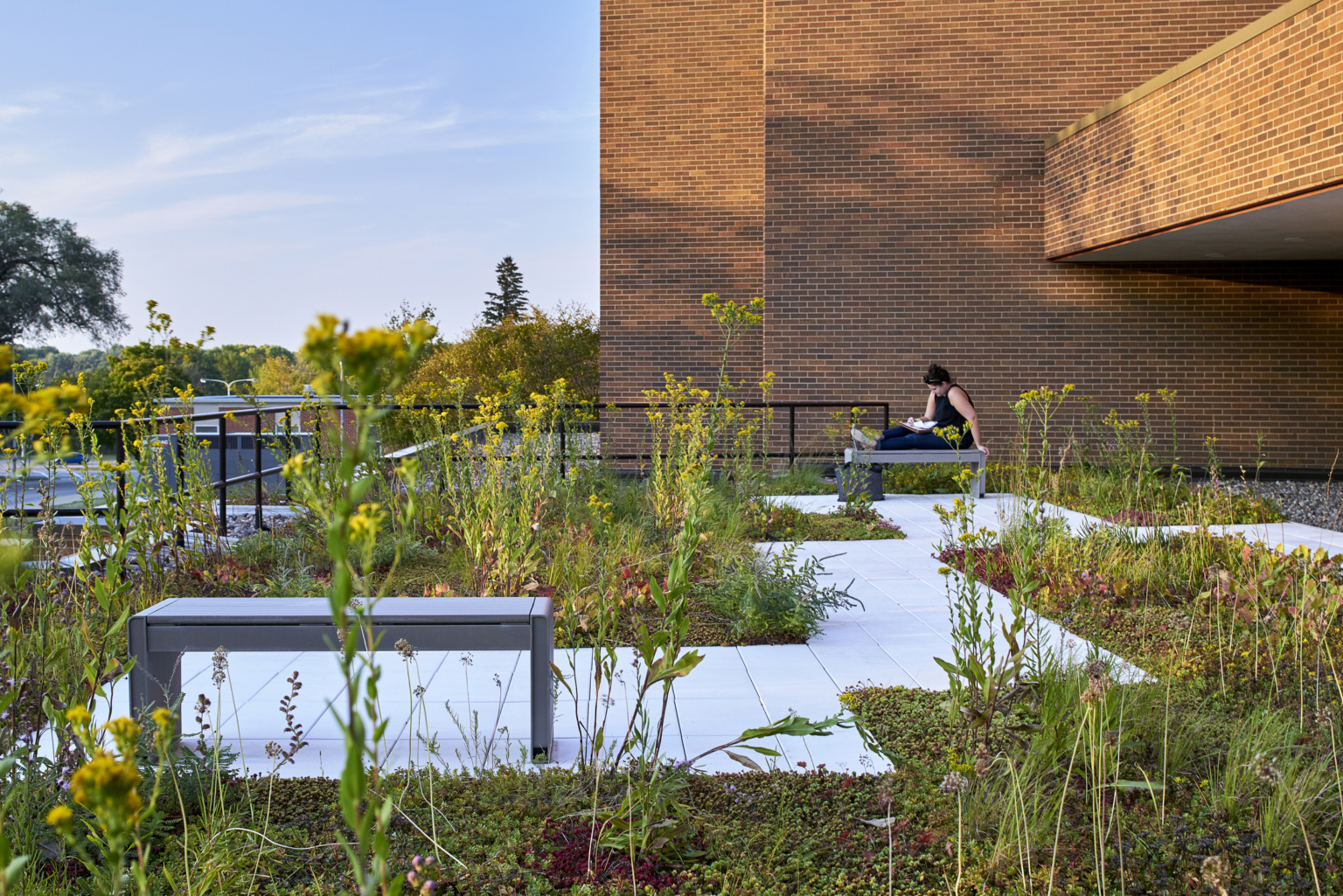 Rooftop garden at a university for students to go out and study on